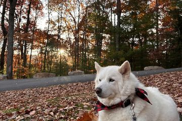 Hiking