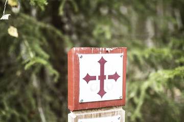 Hiking
