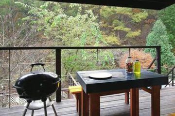 Photo 41