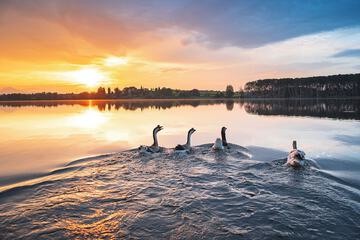 Lake