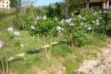 Photo 66
