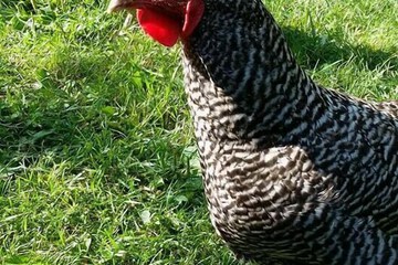 Property Grounds 87 of 87