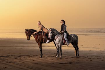Horseback riding