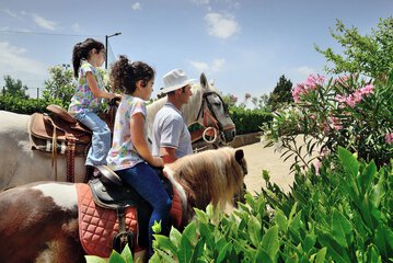 Children's activities