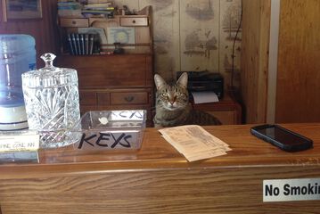 Pet-friendly