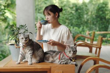 Pet-friendly