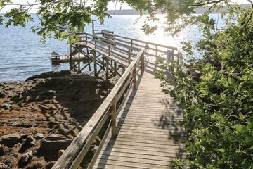 Dock