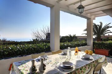 Terrace or Patio
