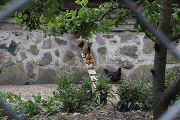 Photo 32
