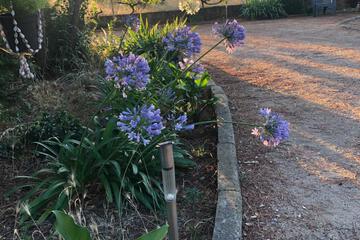 Photo 25