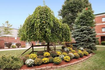 Photo 27