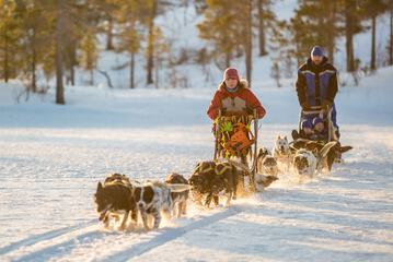 Sledding