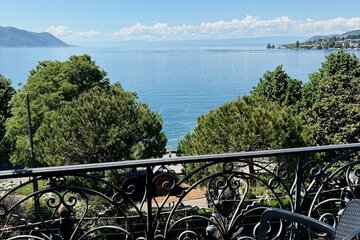 Lake view