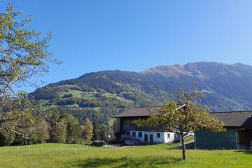 Photo 27