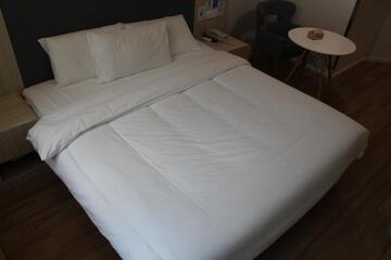 Photo 50