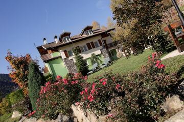 Photo 44