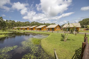 Lake view