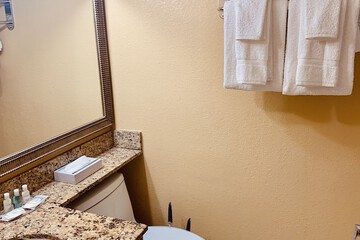 Bathroom amenities