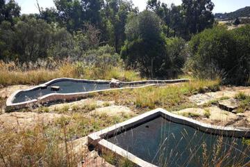 Surrounding environment