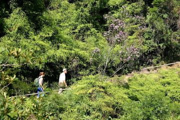 Hiking