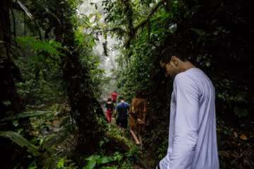 Hiking