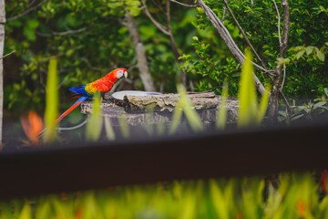 Ecotours