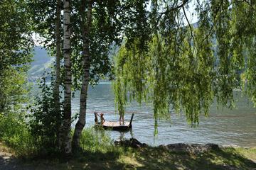 Photo 43