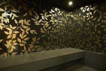 Steam room