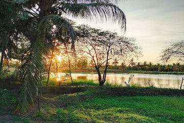 Lake view