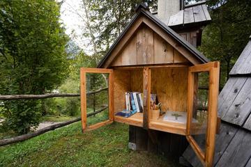 Photo 21