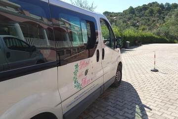 City shuttle