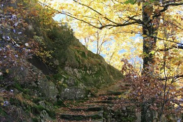 Hiking