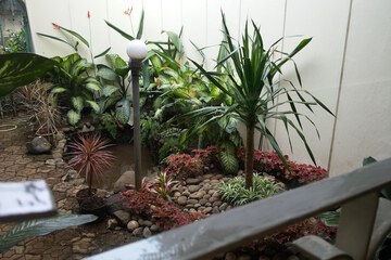 Garden view