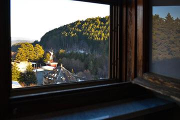Photo 48