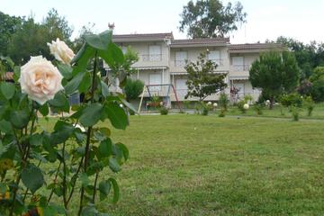 Photo 22