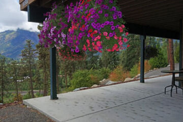 Terrace or Patio