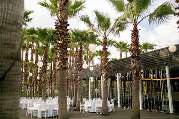 Outdoor wedding area