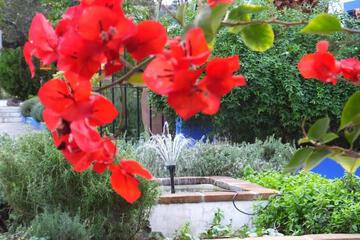 Photo 77