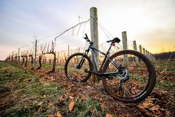 Bicycling