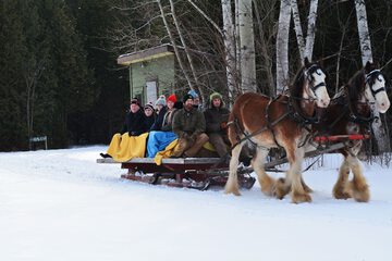 Sledding