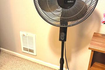 Photo 31