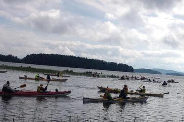 Photo 41