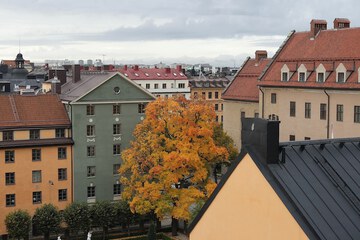 View from room