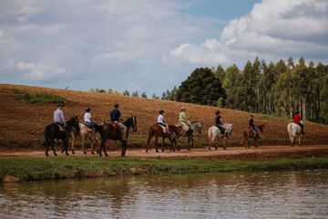 Horseback riding