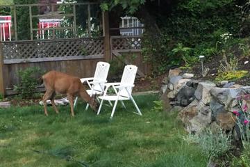 Photo 46