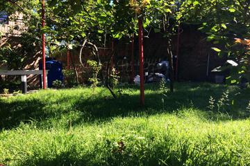 Photo 37