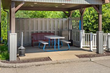 BBQ/picnic area