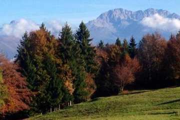 Mountain view