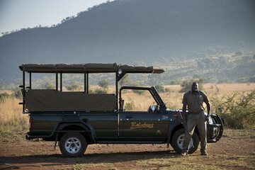 Safari