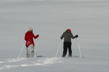 Snowshoeing
